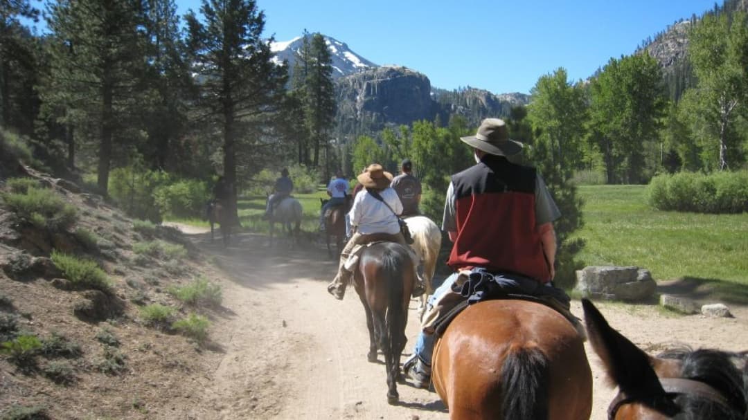 Kennedy Meadows